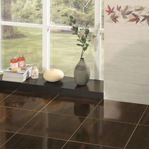 Brown Gloss Ceramic Floor Tiles