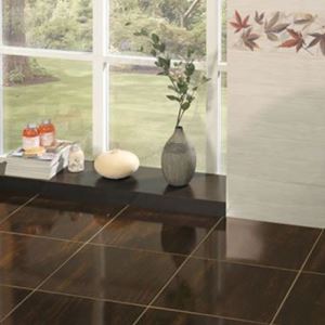 Brown Gloss Ceramic Floor Tiles