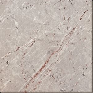 24x24 Bathroom Porcelain Floor Tile