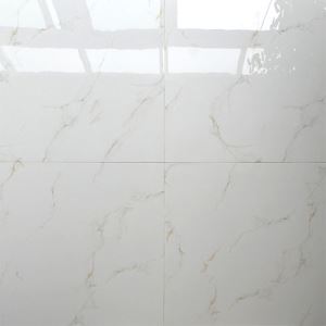 600x600 White Gloss Porcelain Floor Tile