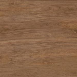 Bathroom Wood-Look Porcelain Floor Tile